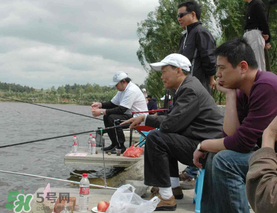 驚蟄過后好釣魚嗎？驚蟄后陰雨天好釣魚嗎？