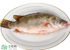 三月份吃什么魚？3月份吃什么魚好？