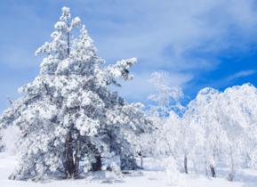 三月份還會下雪嗎？哈爾濱三月份還有雪嗎？