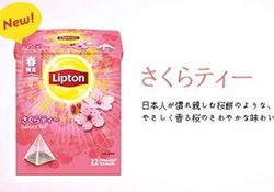 立頓櫻花紅茶多少錢？lipton立頓櫻花紅茶哪里買價格