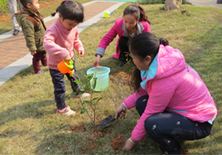 植樹節(jié)一般種什么樹？植樹節(jié)種什么樹比較好？