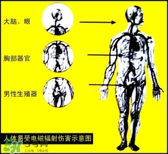 防輻射服什么時候開始穿？防輻射服真的有用嗎？