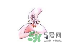 怎么按摩乳房下奶快 怎么按摩乳房下奶多