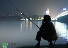 春分能夜釣嗎？春分能釣鯉魚嗎？