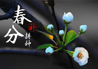 春分吃春菜有什么好處？春菜有什么營養(yǎng)價(jià)值？