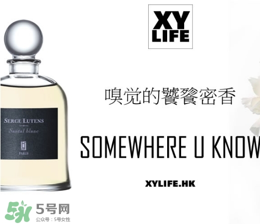 serge lutens蘆丹氏香水哪款好聞？鹵蛋蘆丹氏香水推薦