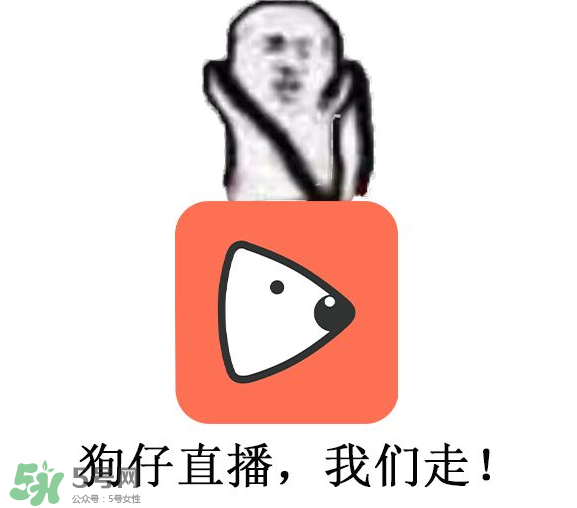 黃鱔為什么火了？黃鱔我們走為什么火了？