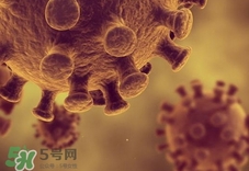 h1n1流感可以治好嗎?h1n1流感能治愈嗎?