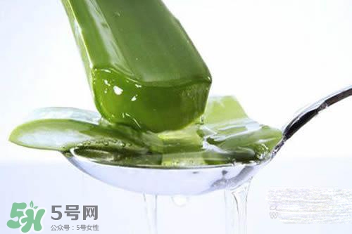 黃瓜水和蘆薈水哪個好？黃瓜水和蘆薈水功效區別