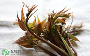 香椿怎么洗？香椿芽怎么洗干凈？