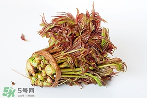 香椿樹什么時候發芽？香椿樹什么時候種植