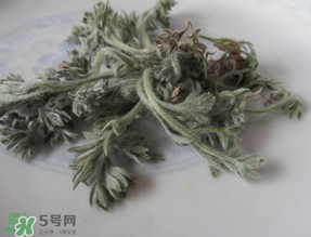 白蒿能治黃疸嗎？白蒿水可以治黃疸嗎？