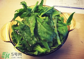 吃冰菜有什么好處？冰菜吃了有什么好處？