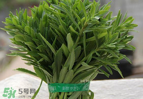 救心菜有毒嗎？救心菜怎么吃沒毒？