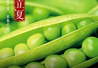 立夏吃什么好？立夏吃什么蔬菜？