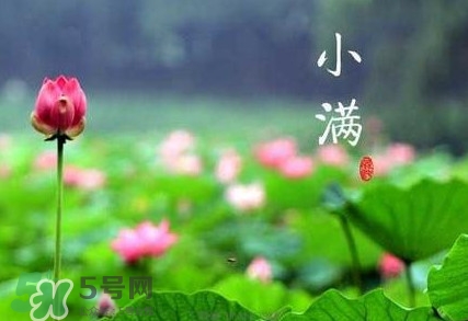 2017小滿是幾月幾日？小滿節氣養生