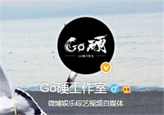 go硬工作室和卓偉有什么關系？go硬工作室是卓偉前員工成立的？