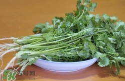 香菜是寒性食物嗎？香菜是熱性還是涼性？