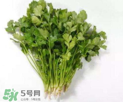 香菜洗腎有科學依據么？香菜能洗腎是真的嗎？