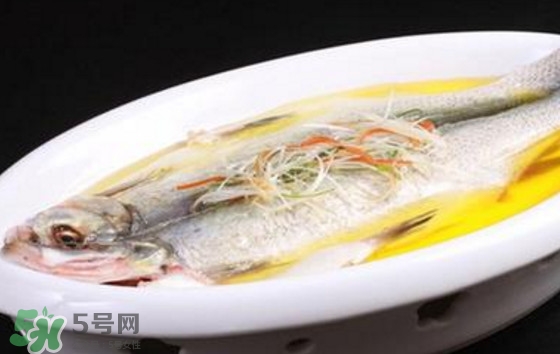 孕婦可以吃白條魚嗎？白條魚孕婦能吃嗎？