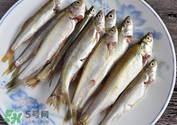 孕婦可以吃白條魚嗎？白條魚孕婦能吃嗎？