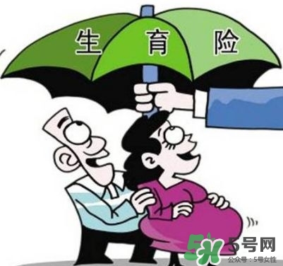 生育保險能報多少錢？生育保險報銷條件、流程