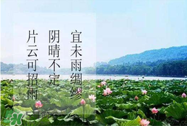 夏至是入伏嗎？夏至后多久入伏？