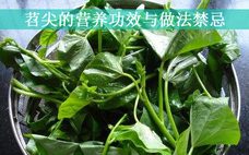 長壽菜是什么菜?長壽菜長什么樣子?