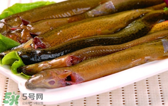 鰻魚是泥鰍嗎？鰻魚與泥鰍什么區別