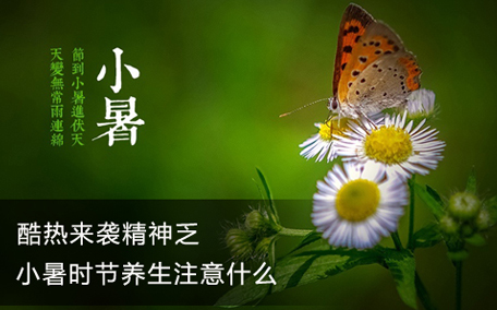 小暑怎么養(yǎng)生 小暑要吃什么