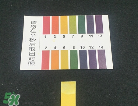 植物醫生白茶泡泡面膜怎么樣_好用嗎