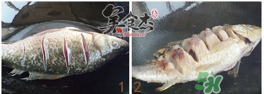 三伏灸可以吃魚嗎？三伏灸可以吃什么魚？