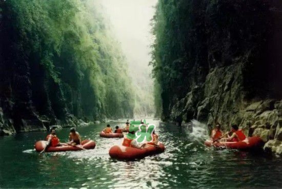 漂流需要準備什么東西？漂流哪里最好玩？