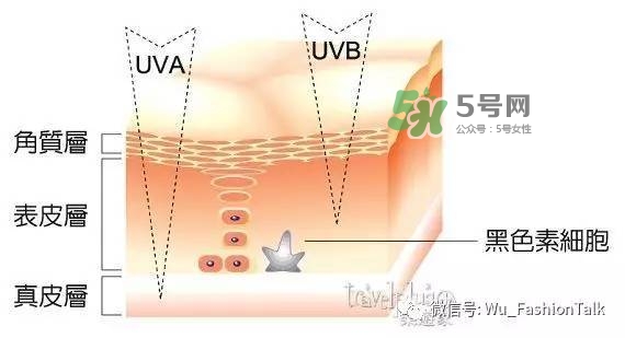 夏天室內要涂防曬霜嗎 在室內有必要擦防曬霜嗎