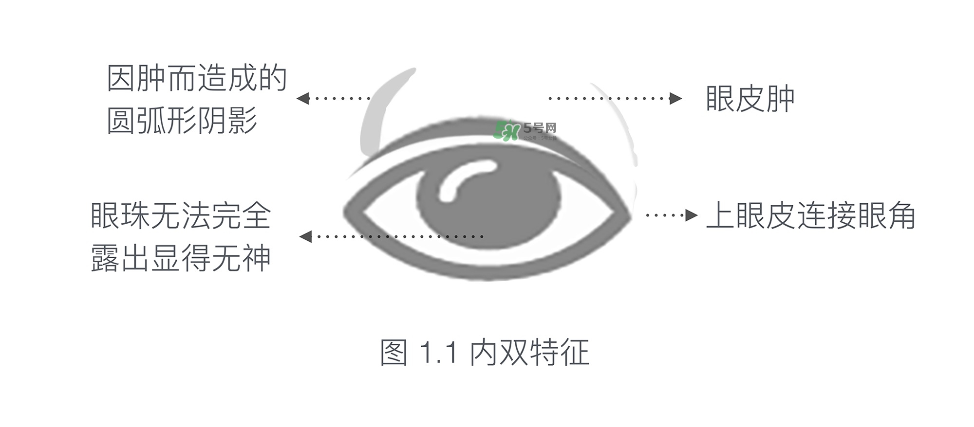 內雙眼妝畫法及步驟圖片 日常內雙眼妝的畫法