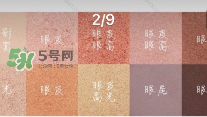 zoeva玫瑰金眼影盤怎么畫？zoeva rose golden畫法教程