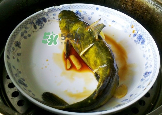 黃刺魚死了能吃嗎？黃刺魚不能與什么同食