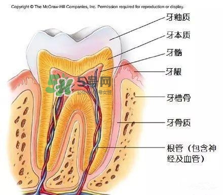 regenerate牙膏多少錢？regenerate牙膏專柜價格