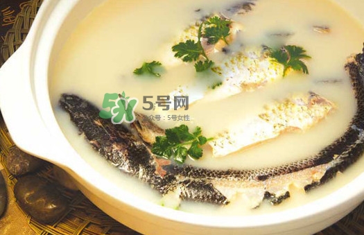 黃蜂魚怎么煮好吃？黃蜂魚燉湯孕婦可以喝嗎