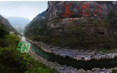 茅臺酒為什么那么貴？茅臺酒為什么這么貴