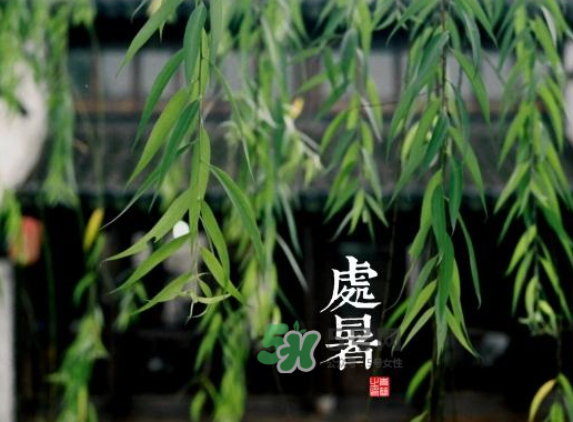 2017處暑還熱嗎？2017處暑后天氣還熱嗎？