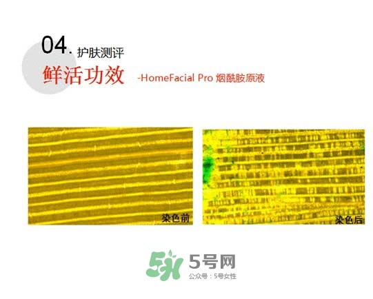 homefacialpro煙酰胺原液怎么樣？hfp煙酰胺原液好用嗎