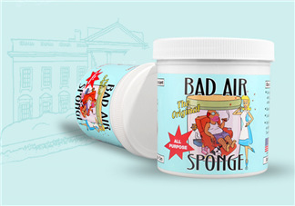 Bad Air Sponge有用嗎？Bad Air Sponge效果如何？