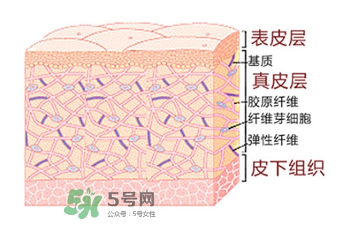 毛孔粗大用什么護膚品 毛孔粗大原因及對策