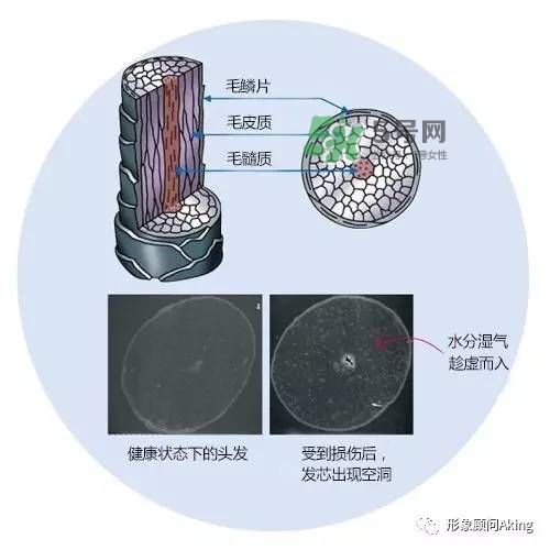 無硅油洗發(fā)水為什么貴 無硅油洗發(fā)水真的好嗎