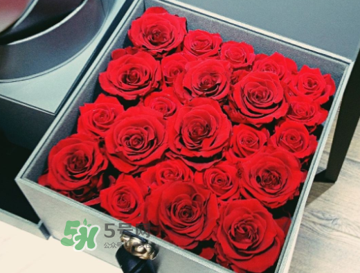 roseonly怎么買？roseonly如何買第二次？