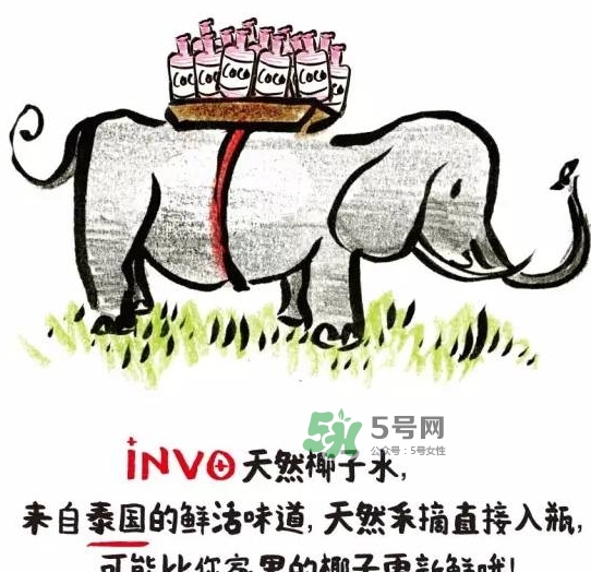 invo椰子水多少錢？invo椰子水好喝嗎？