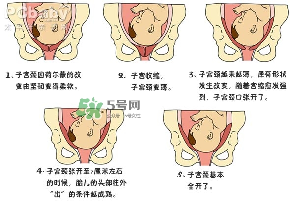 生孩子的過(guò)程是怎樣的？生孩子的真實(shí)過(guò)程