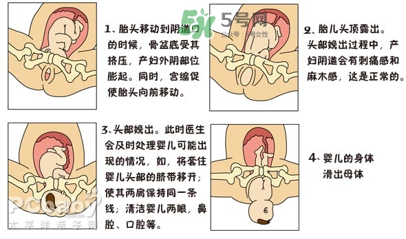 生孩子的過(guò)程是怎樣的？生孩子的真實(shí)過(guò)程