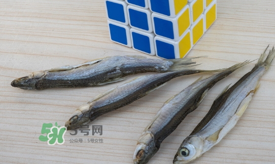 刁子魚是發物嗎？刁子魚是不是發物